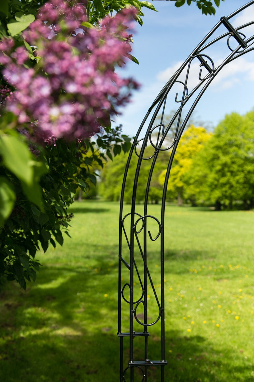 Arche en fer forgé – Élégance intemporelle