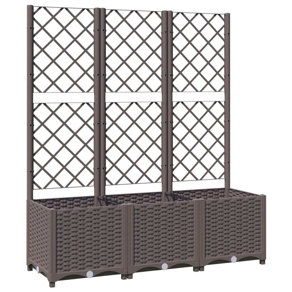 Pflanzkübel Mit Rankgitter Braun 40X40X121,5 Cm PP