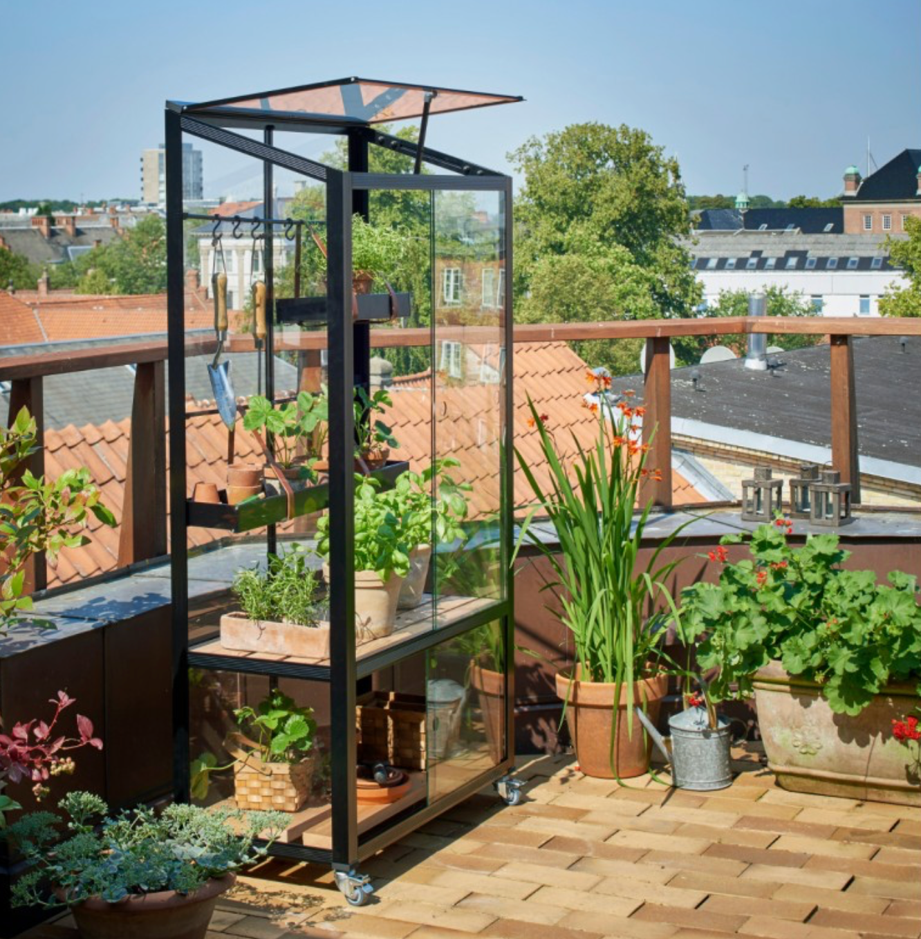 Mini-serre Juliana – Élégance & fraîcheur au balcon