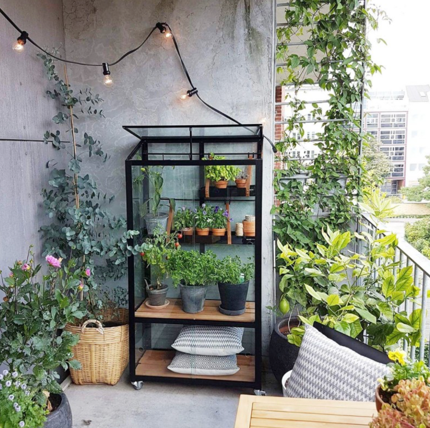 Mini-serre Juliana – Élégance & fraîcheur au balcon